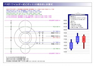 Visio-PIVOT概念図_ページ_2